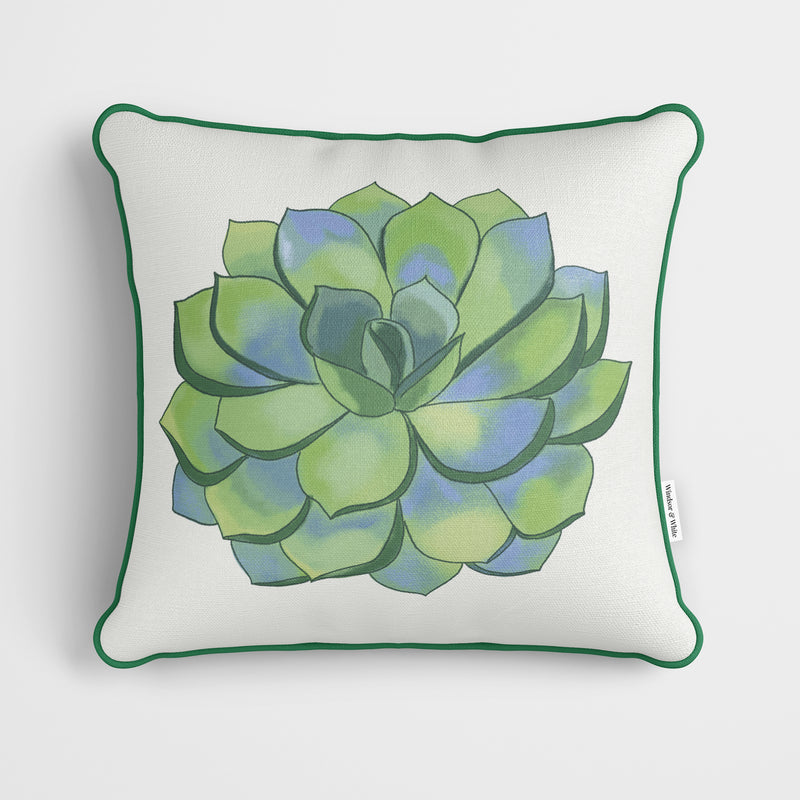 Green Succulent White Cushion - Handmade Homeware, Made in Britain - Windsor and White