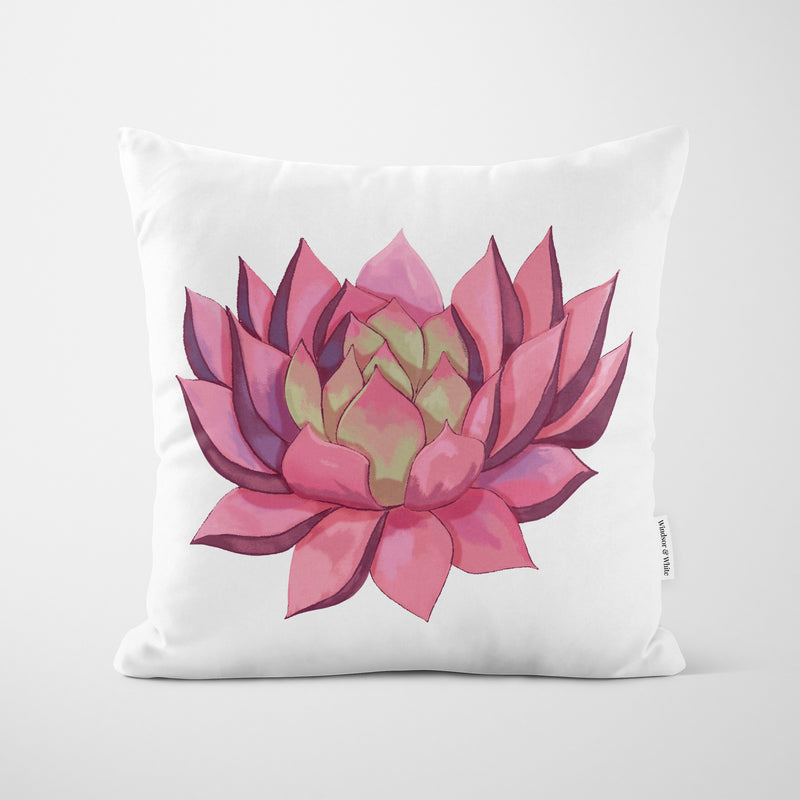 Pink Succulent White Cushion - Handmade Homeware, Made in Britain - Windsor and White