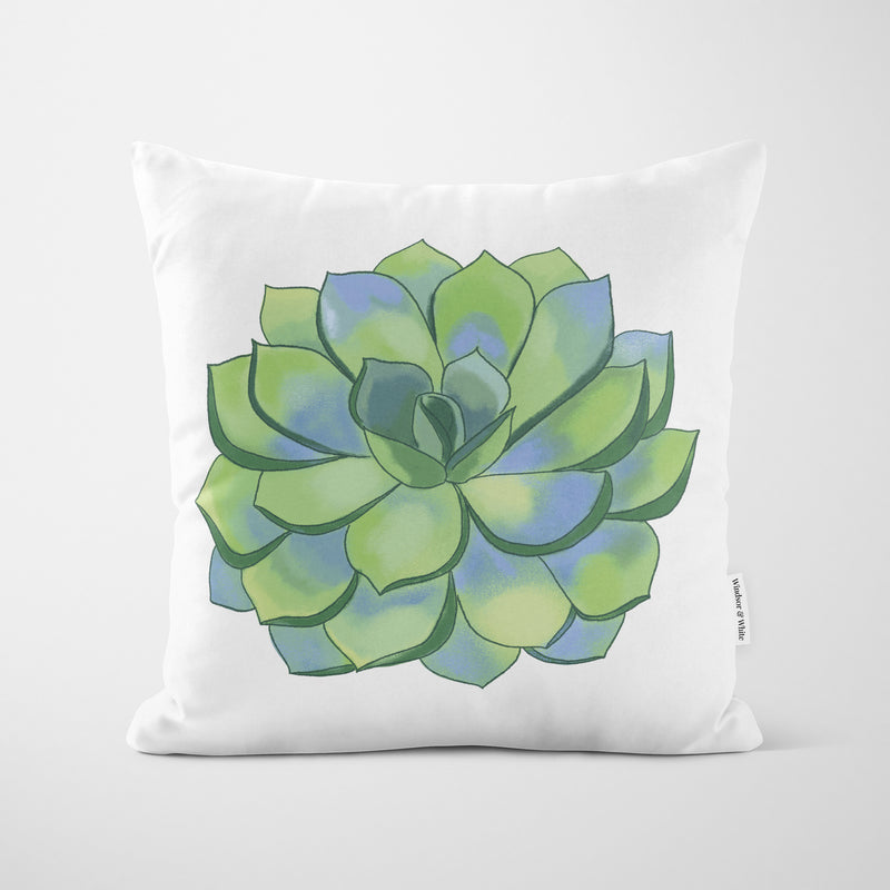 Green Succulent White Cushion - Handmade Homeware, Made in Britain - Windsor and White