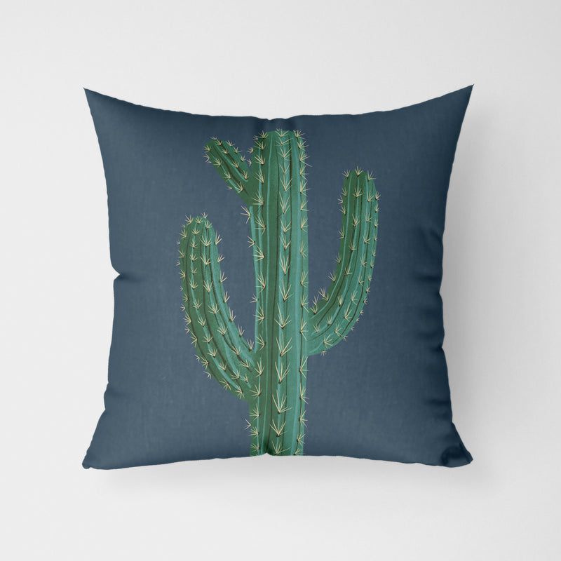 Cactus Blue Water Resistant Garden Outdoor Cushion - Handmade Homeware, Made in Britain - Windsor and White